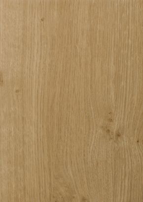 RENOLIT EXOFOL MX IRISH OAK 